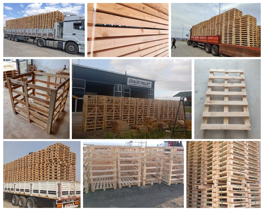 Montmagny Palette Europe, Acheter des palettes en gros